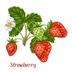 Bunch of red strawberries. Decorative berries and leaves