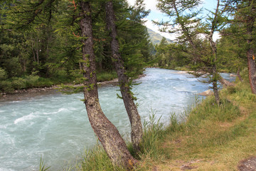 Doire de Ferret, torrente affluente della Dora Baltea, in val Ferret (Valle Aosta)