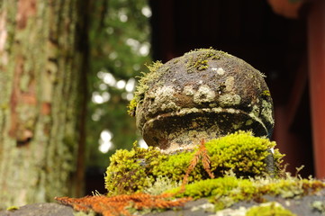 Travel In Japan