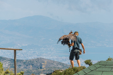 Animal trainer and eagle in Benalmadena national park, Malaga province, Spain. © Neonyn