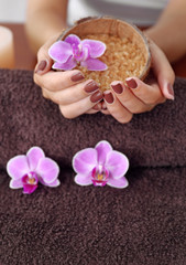 Plakat Female hands with brown manicure holding sea salt in bowl, closeup