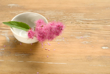 Plant (unknown) with flowers in cup on wooden background.