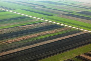 Green landscape