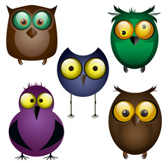 set of owls. Different birds. Cartoon. Funny. For your design