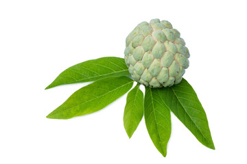 Custard apple isolated on white background 