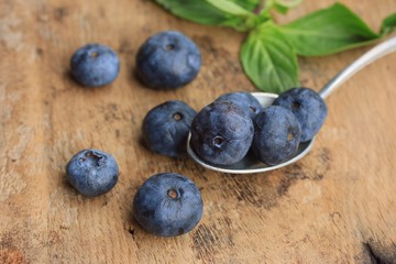 blueberries