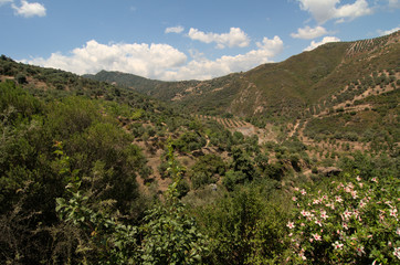 Naklejka premium Cretan mountains