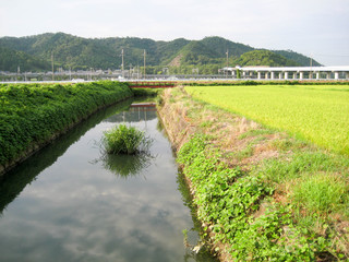 Fototapeta premium 水路