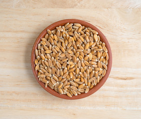 Small bowl filled with organic spelt on a wood table top