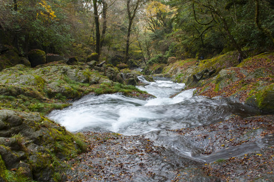 Kikuchi valley