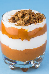 Pumpkin pie vanilla yogurt parfat.
