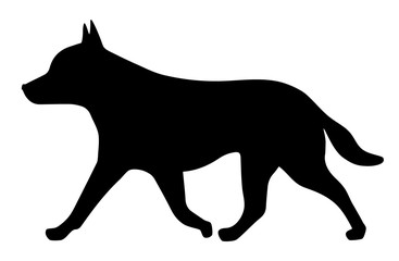 dog on a white background 