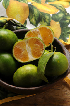 Citrus × tangelo Танжело Mapo 橘柚 תפוזינה Minneola Zitrusfrucht تنجلو タンジェロ Tangelo Tangelopuu 