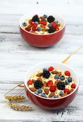 Breakfast oatmeal &  wild strawberries, blueberries, blackberries & almonds  