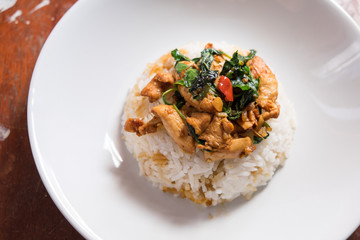 Spicy fried chicken with basil leaves on rice