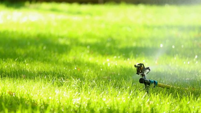 Watering system works on lawn with fresh green grass.  Drops of water falling on wet ground. Real time full hd video footage.