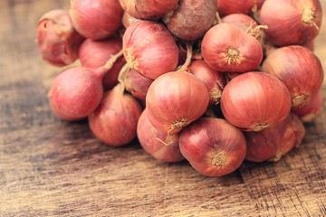 Shallot