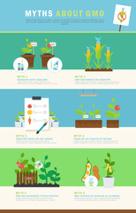 Fototapeta premium Infographic: myths about GMO. Colorful vector concept with illustrations and simple data.