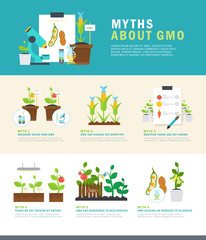 Myths about GMO. Colorful vector infographic with illustrations and simple data. - obrazy, fototapety, plakaty
