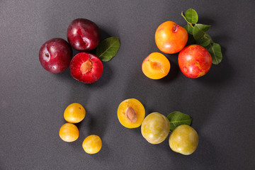 assortment of plum variety