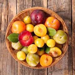 assortment of colorful plum