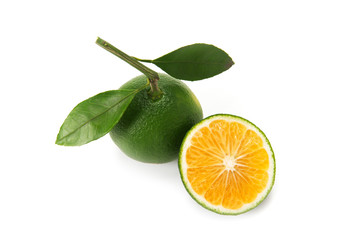 みかん   © Caito