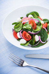 Fresh salad with mozzarella cheese, tomato, spinach and purple onion on blue wooden background close up. Healthy food.