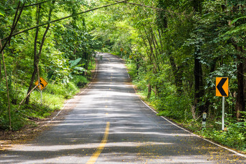 Obraz premium Forest road in the summer