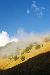 Pyrenees