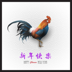 Rooster - symbol of 2017 of Chinese New Year