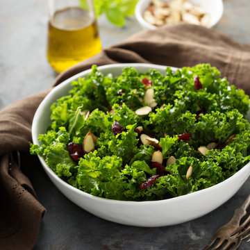 Fresh healthy salad with kale and cranberry