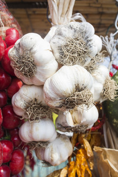 Natural bunch of garlic