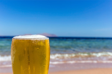 Cold beer on a background of the sea