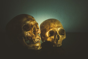 Still life of skull