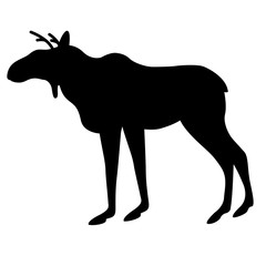 young elk vector illustration black silhouette