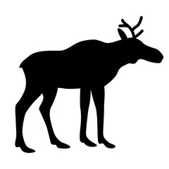 young elk vector illustration black silhouette