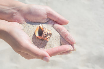 Seashell in the young wooman's hands