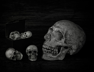 Box of skull