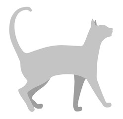 Cat silhouette on a white background