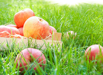 Apples on grass