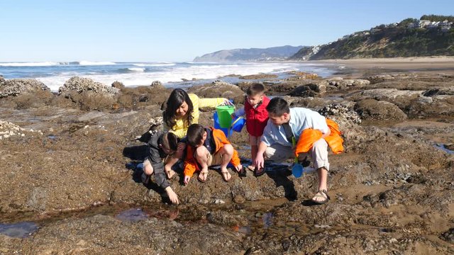 Family at beach looking at tidepool
