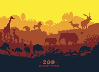 Poster Im Rahmen Zooweltillustrationshintergrund, farbige Silhouettenelemente, flach © sodesignby