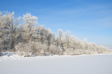 Winter landscape with hoarfrost