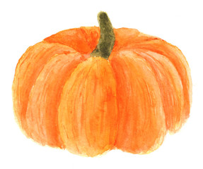 Pumpkin in watercolor