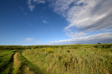 Road in field