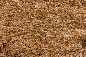 Background. The texture of limestone and lime close up. Formed by sedimentary rocks