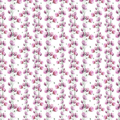 Wildflower flower poppy pattern in a watercolor style. Full name of the herb: papaver, poppy, opium poppy. Aquarelle flower for background, texture, pattern, frame or border.