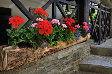 flowerbed with color geranium on alpine house facade