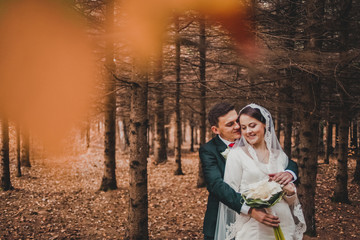 Fototapeta premium young family, the wedding, the newlyweds. Bride and groom walk around the trees in an autumn forest