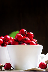 Fresh hawthorn berries in white porcelain bowls. Vintage wood ba